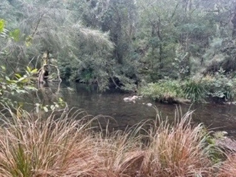 Second view of Homely rural property listing, Lot 36 8416 Oxley Highway, Mount Seaview NSW 2446