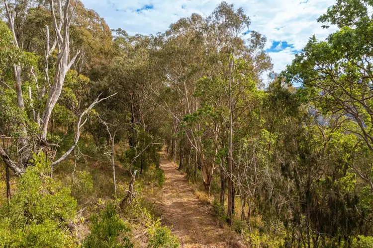 Fourth view of Homely rural property listing, Lot 36 8416 Oxley Highway, Mount Seaview NSW 2446