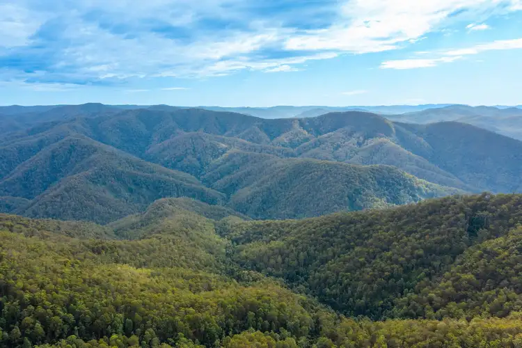 Seventh view of Homely rural property listing, Lot 37 8930 Oxley Highway, Mount Seaview NSW 2446
