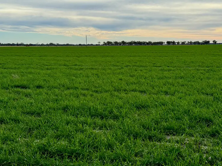 Second view of Homely rural property listing, Yileena, Moree NSW 2400