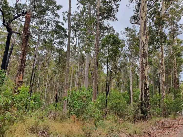 2 Bibaringa Road, Nymboida NSW 2460