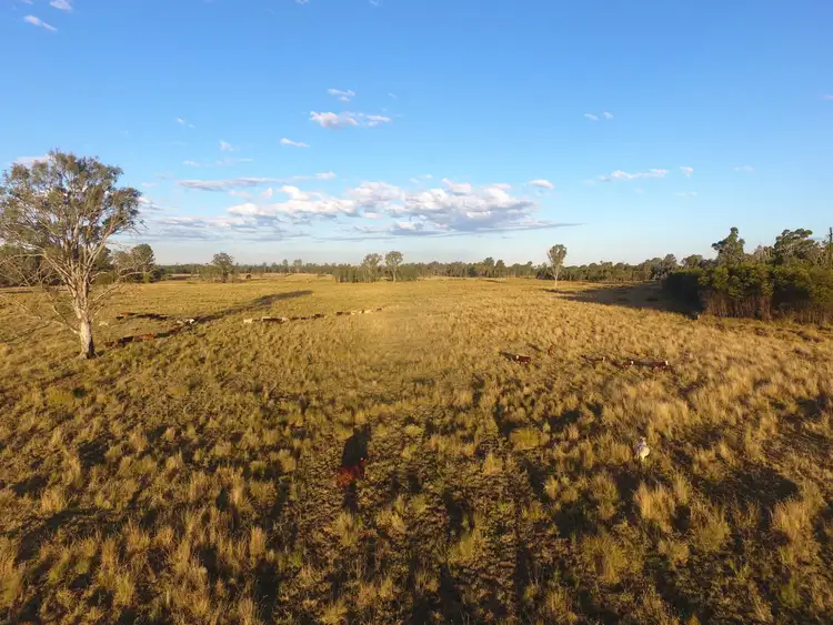 Fourth view of Homely rural property listing, 135 Clarks Road, Wyan NSW 2469