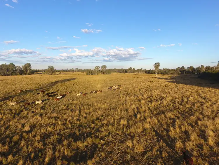 Fifth view of Homely rural property listing, 135 Clarks Road, Wyan NSW 2469