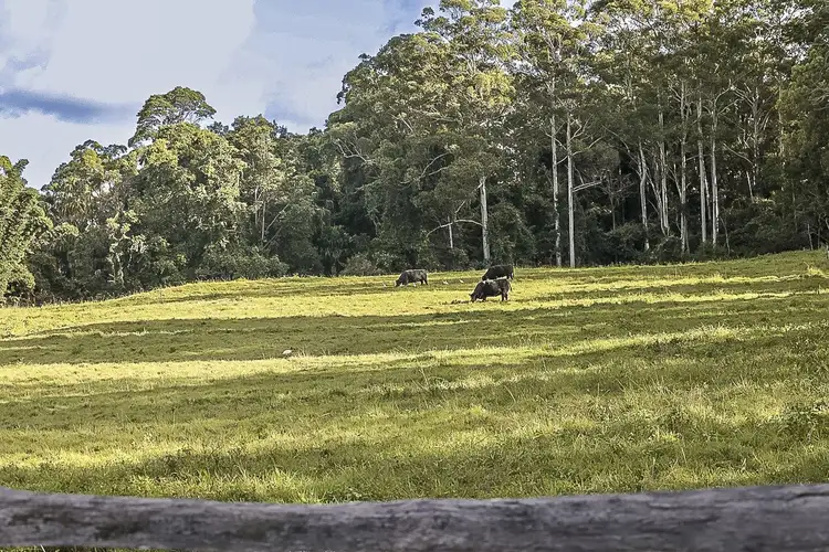 414 Chevallum Road, Chevallum QLD 4555