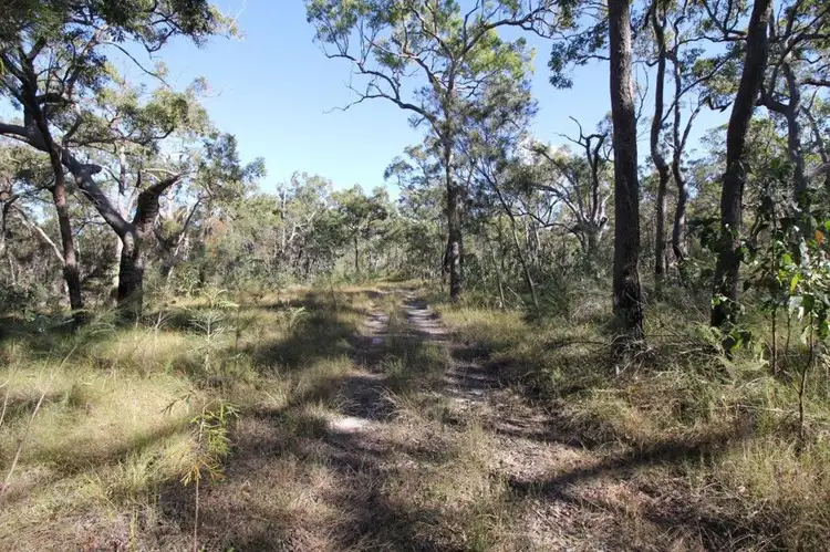 Seventh view of Homely rural property listing, 311 Pacific Drive, Deepwater QLD 4674