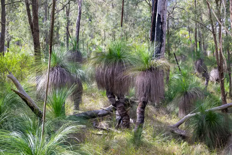 Sixth view of Homely rural property listing, 468 Carnham Road, Carnham NSW 2460