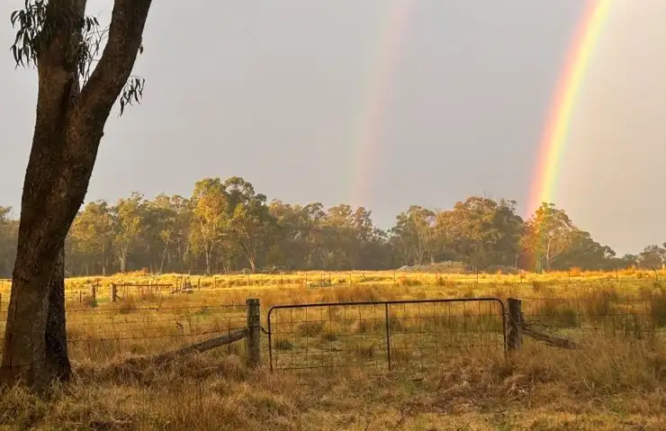 Second view of Homely rural property listing, 929 Mount Tully Road, Eukey QLD 4380