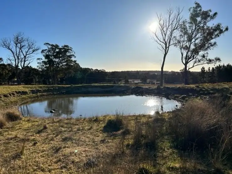 Seventh view of Homely rural property listing, 929 Mount Tully Road, Eukey QLD 4380