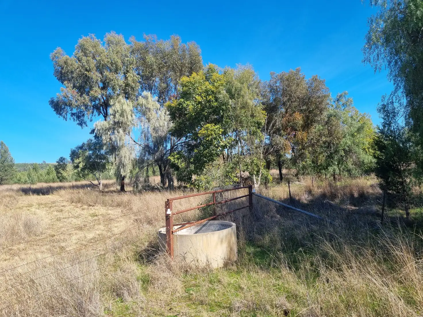 Main view of Homely rural property listing, Lot 103 Inlet Road, Attunga NSW 2345