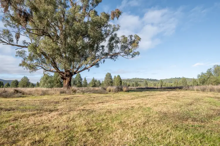 Third view of Homely rural property listing, Lot 103 Inlet Road, Attunga NSW 2345