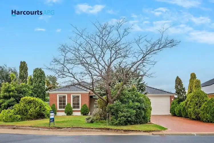 Third view of Homely house listing, 19 Alyxia Drive, Glen Iris WA 6230
