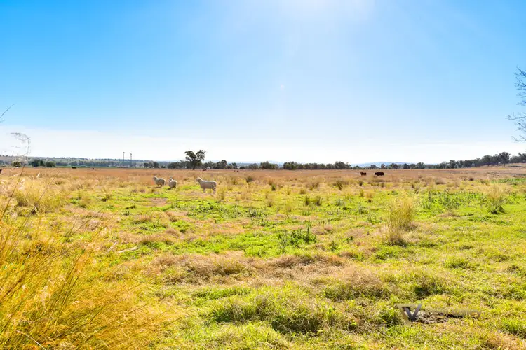 Fifth view of Homely land listing, 1148 Manilla Road Hallsville, Tamworth NSW 2340