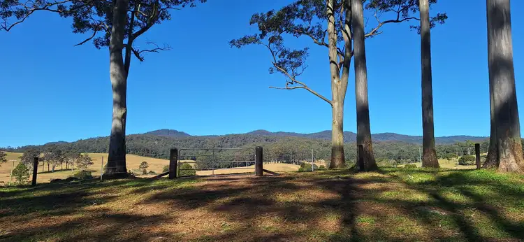 Main view of Homely rural property listing, 2591 Eastern Dorrigo Way Brooklana, Coffs Harbour NSW 2450