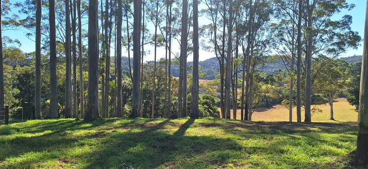 Third view of Homely rural property listing, 2591 Eastern Dorrigo Way Brooklana, Coffs Harbour NSW 2450