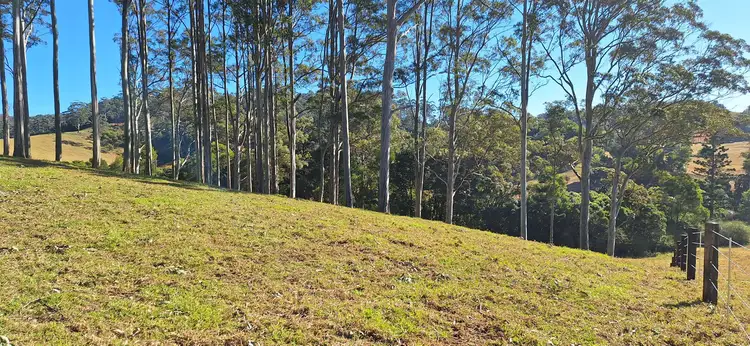 Fourth view of Homely rural property listing, 2591 Eastern Dorrigo Way Brooklana, Coffs Harbour NSW 2450