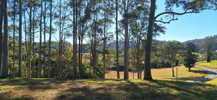 Seventh view of Homely rural property listing, 2591 Eastern Dorrigo Way Brooklana, Coffs Harbour NSW 2450