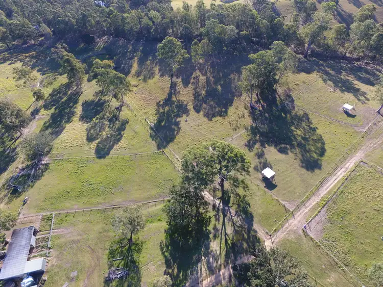 Second view of Homely rural property listing, 790 Mongogarie Road, Leeville NSW 2470