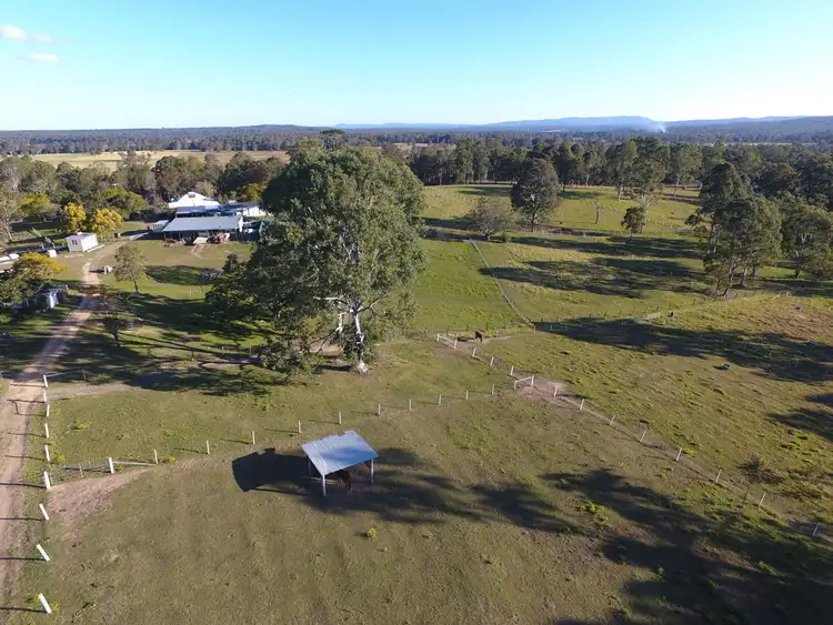 Sixth view of Homely rural property listing, 790 Mongogarie Road, Leeville NSW 2470