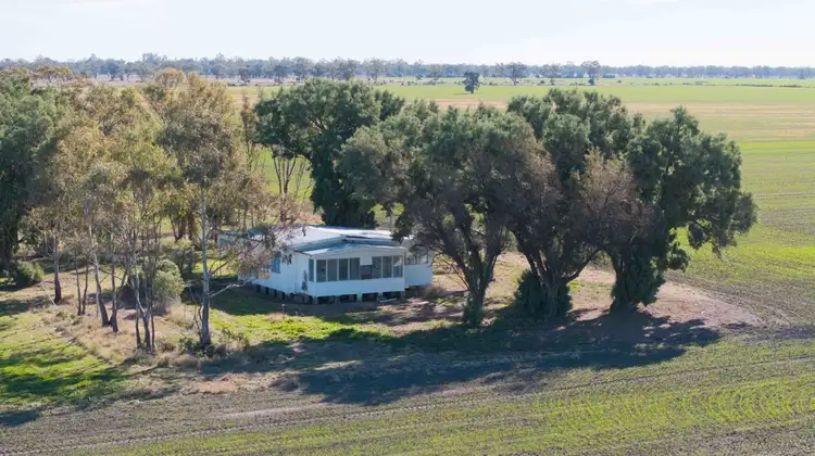 Seventh view of Homely rural property listing, Cheecome and Carols, Moree NSW 2400