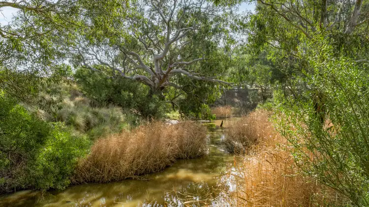 Second view of Homely rural property listing, 1159 Inverleigh-Winchelsea Road, Inverleigh VIC 3321