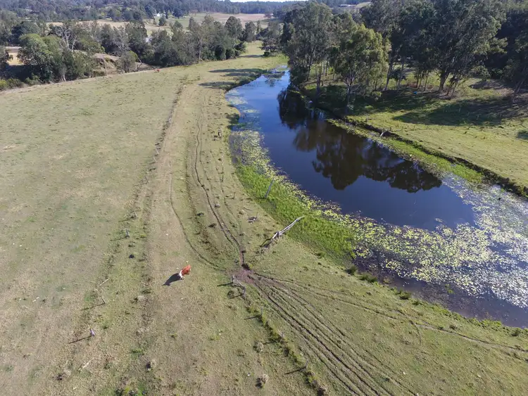Fourth view of Homely rural property listing, 4947 Bruxner Highway Piora via, Casino NSW 2470
