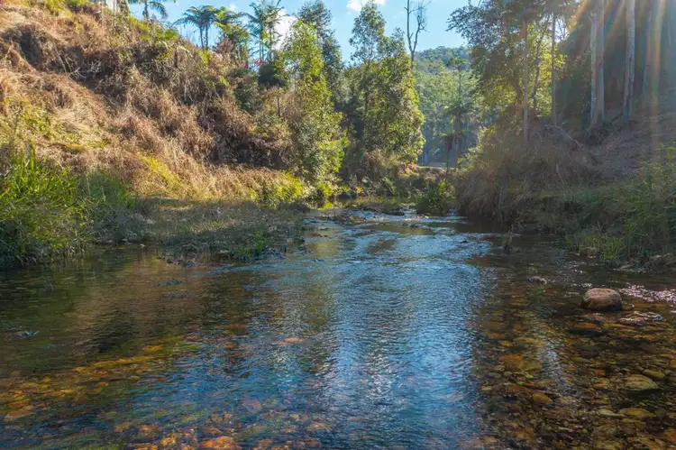 Third view of Homely rural property listing, 1413 Kalang Road, Kalang NSW 2454