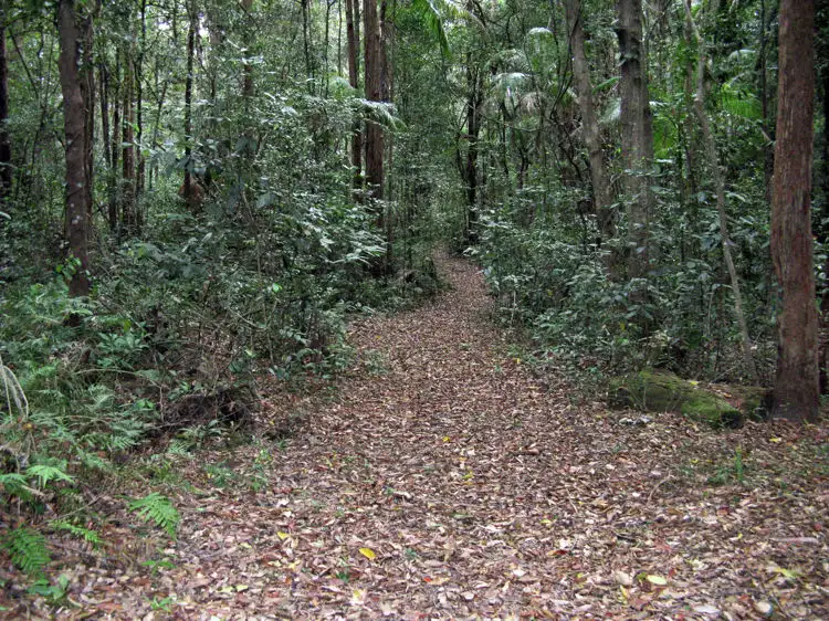 Third view of Homely land listing, Lot 9 Fernhill Place, Diddillibah QLD 4559