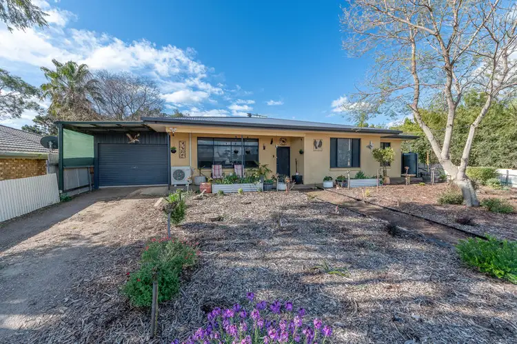 141 Thomas Street, Murray Bridge SA 5253