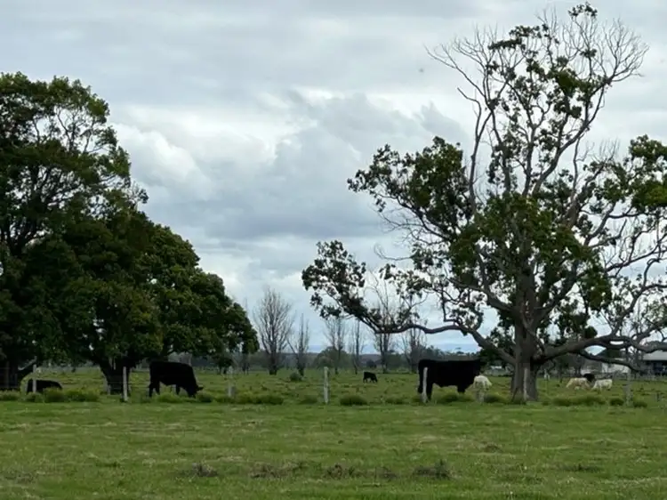 Third view of Homely rural property listing, 363 Austral Eden Inner Road, Austral Eden NSW 2440