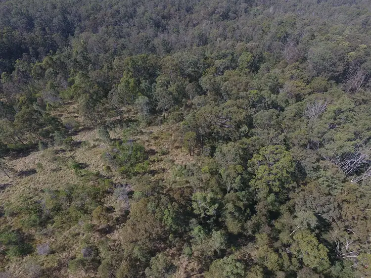 Sixth view of Homely rural property listing, 139 Leslie Creek Road, Drake NSW 2469