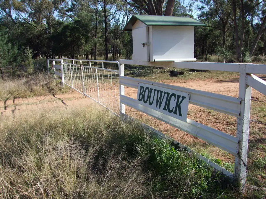 Main view of Homely rural property listing, 125-291 GOORIANAWA ROAD, Mount Tenandra NSW 2828