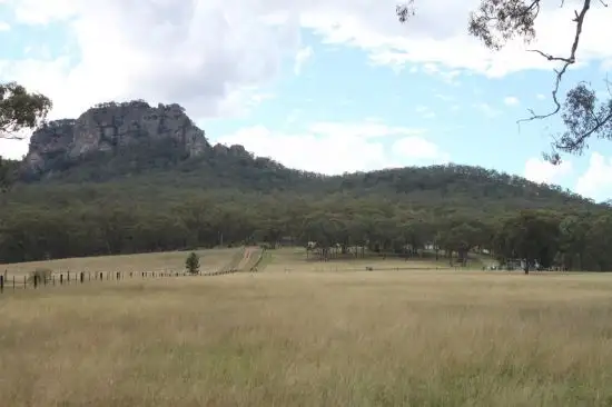 Main view of Homely rural property listing, 111 Dry Creek Road, Scone NSW 2337