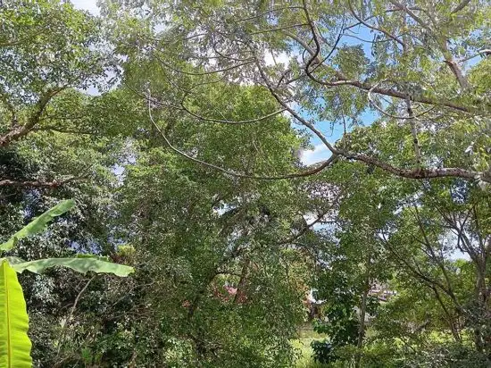 Second view of Homely unit listing, 234 2-8 Rigg St, Woree QLD 4868