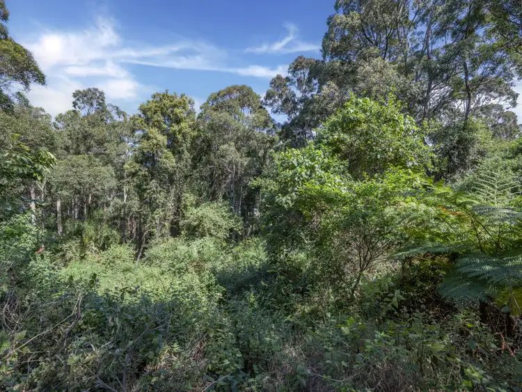 Seventh view of Homely land listing, 231 Bark Hut Road, Woolgoolga NSW 2456