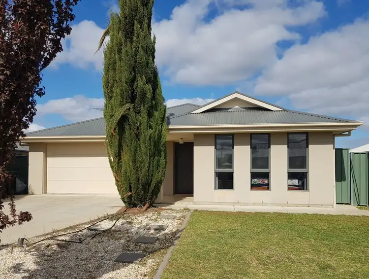 Main view of Homely house listing, 14 Pfitzner Close, Murray Bridge SA 5253