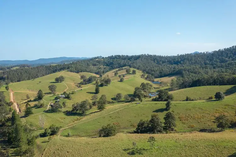 353 Rhones Creek Road, Talarm NSW 2447