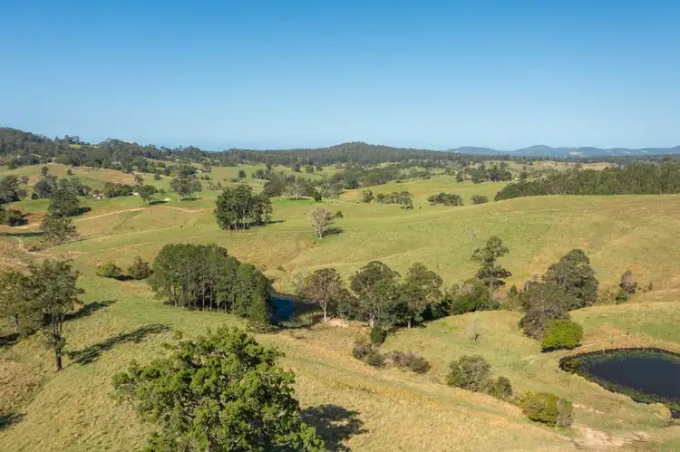 Seventh view of Homely rural property listing, 353 Rhones Creek Road, Talarm NSW 2447