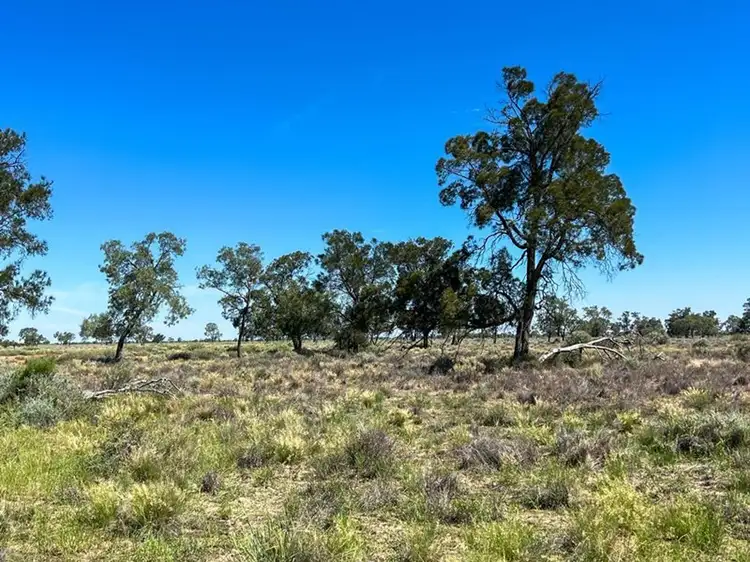Main view of Homely house listing, Goonaroi, Gongolgon NSW 2839