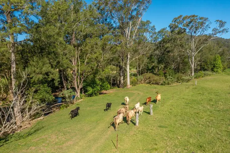 Fourth view of Homely rural property listing, 161 Molly Milligan Road, Marlo Merrican NSW 2441