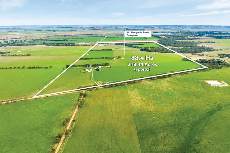 Second view of Homely rural property listing, 141 Bamganie Road, Bamganie VIC 3333