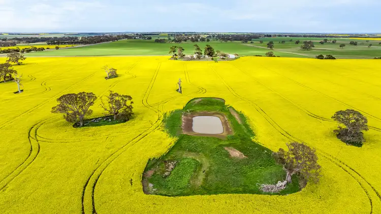 Third view of Homely rural property listing, 36 Karmala Lane, Lake Bolac VIC 3351