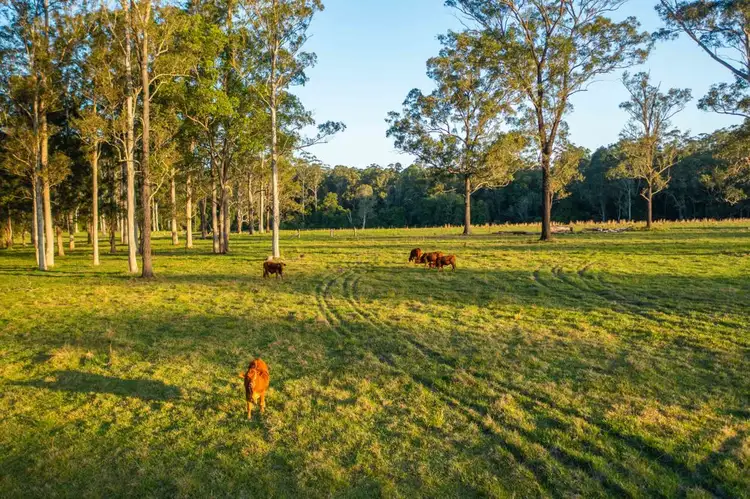 Second view of Homely rural property listing, 27 Seams Road, Kundabung NSW 2441