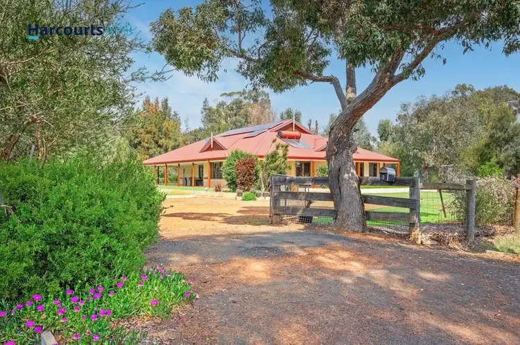 Main view of Homely house listing, 3 Negus Court, Capel WA 6271
