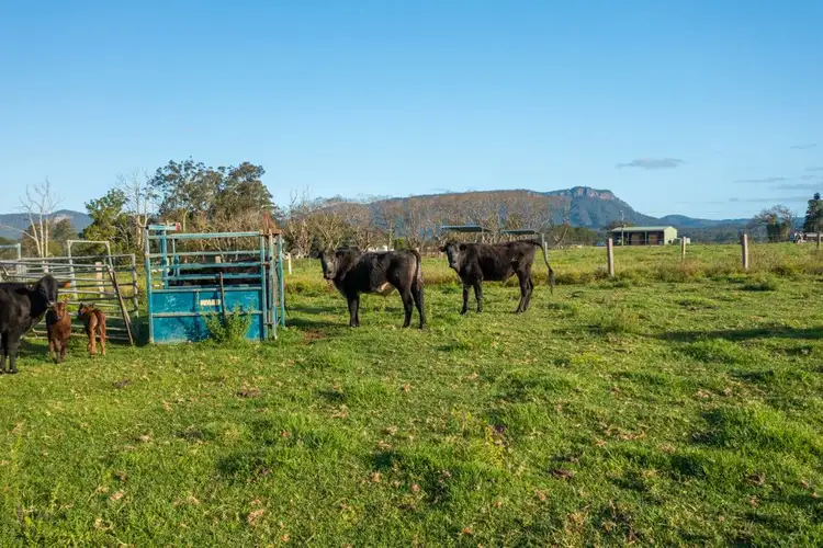 Seventh view of Homely rural property listing, 180 Hewens Road, Brombin NSW 2446