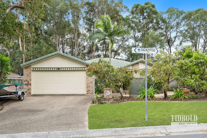Main view of Homely house listing, 11 Eucalyptus Court, Capalaba QLD 4157