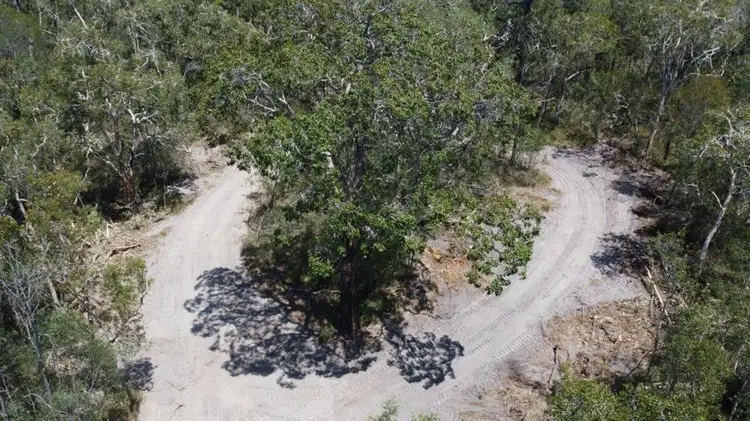 Fifth view of Homely rural property listing, Lot 139 Capricornia Drive, Deepwater QLD 4674