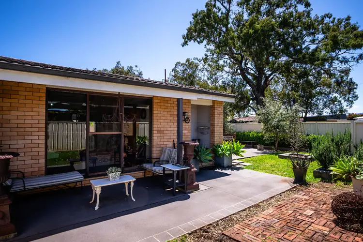 Main view of Homely unit listing, 8/65 Satur Road, Scone NSW 2337