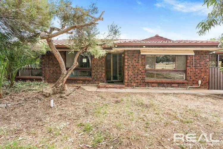 Main view of Homely house listing, 3 Heather Close, Paralowie SA 5108