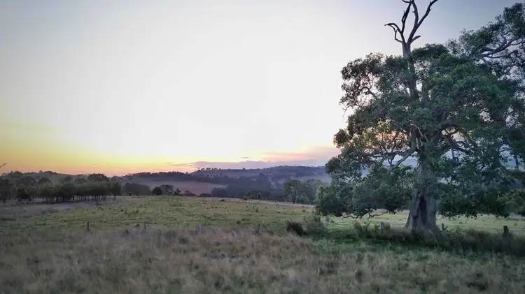 Main view of Homely land listing, 0 Pechey MacLagan Road, Whichello QLD 4352