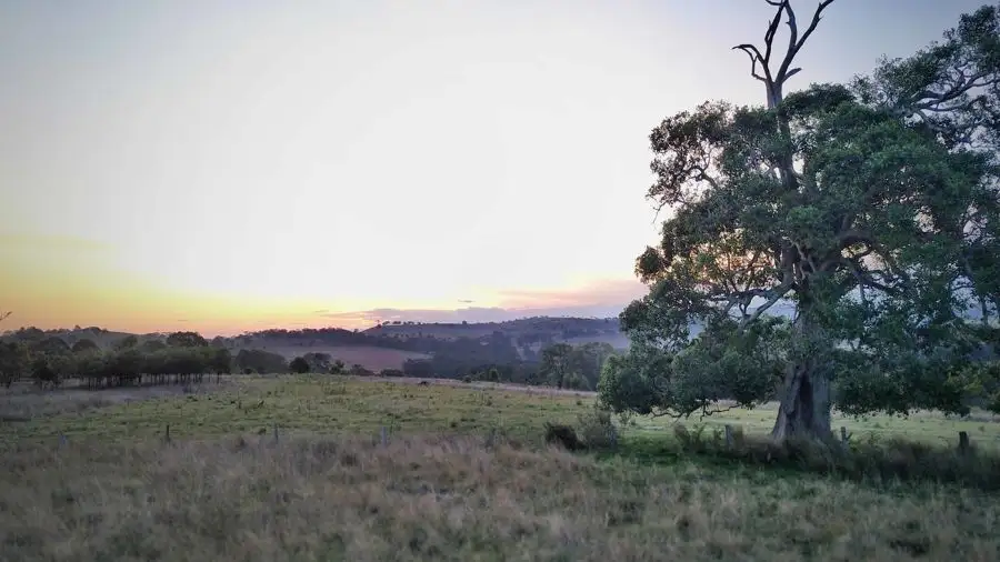 Main view of Homely land listing, 0 Pechey MacLagan Road, Whichello QLD 4352